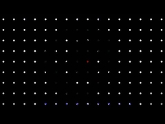 Gambe nere personalizzate da 2 PC